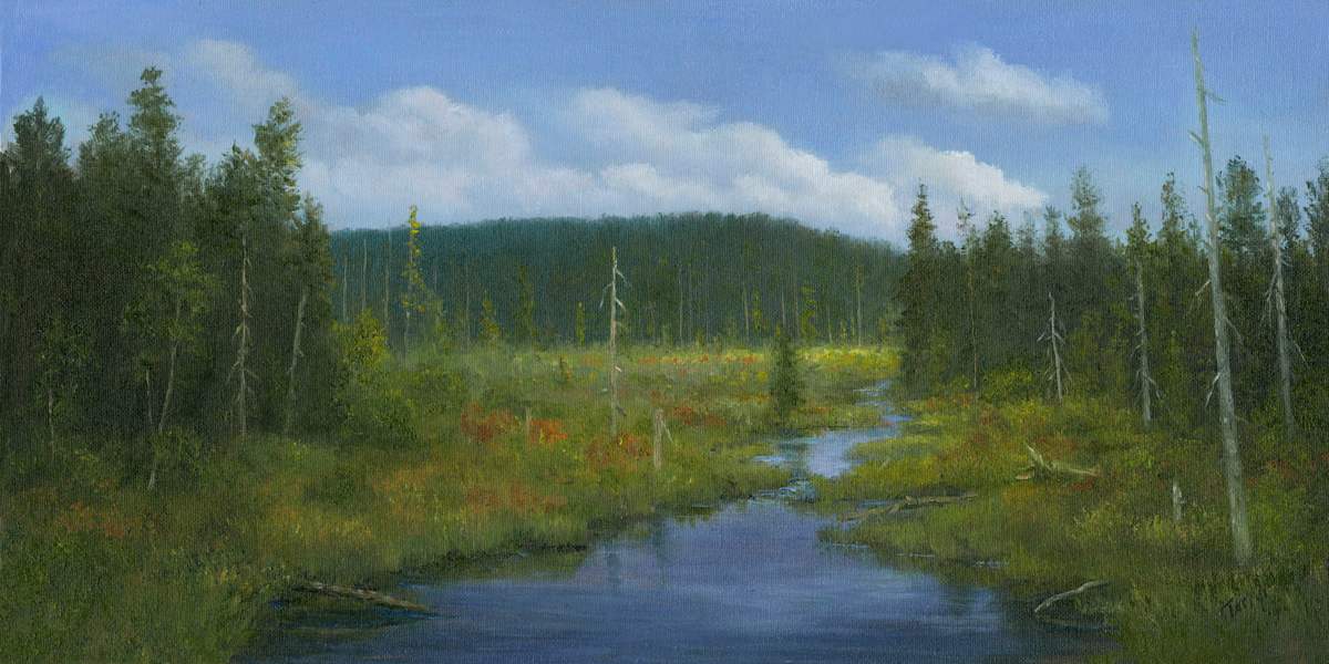Meandering Adirondack Marsh by Tarryl Gabel, Image 2.