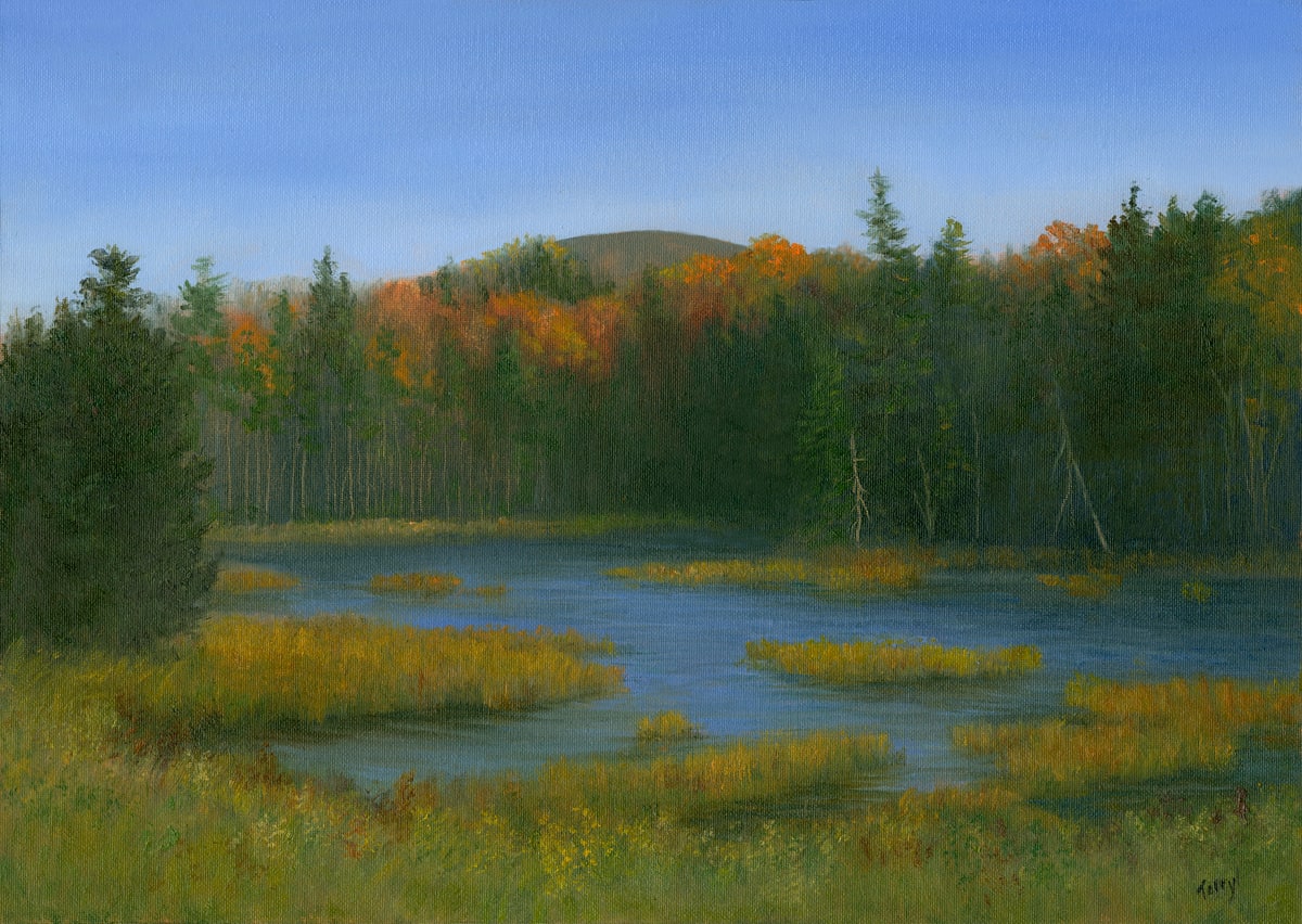 Mountain Marsh, Pinkham Notch, NH 
