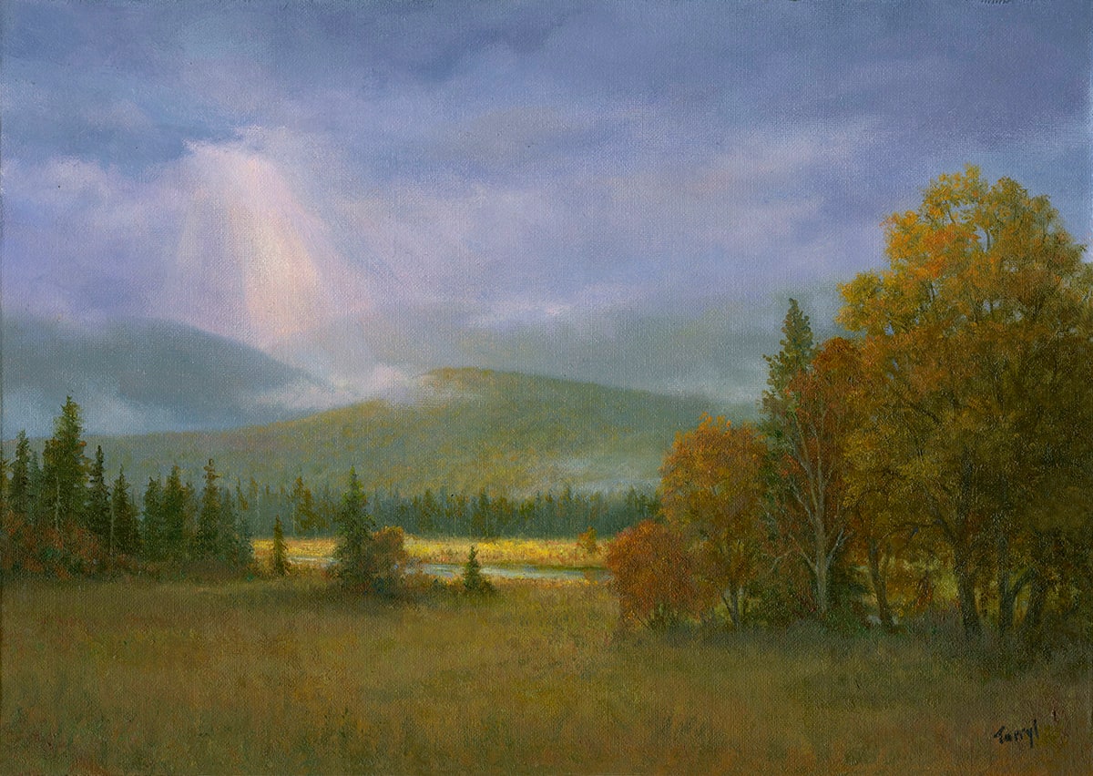 Mountain Meadown, ADK Loj Road by Tarryl Gabel 