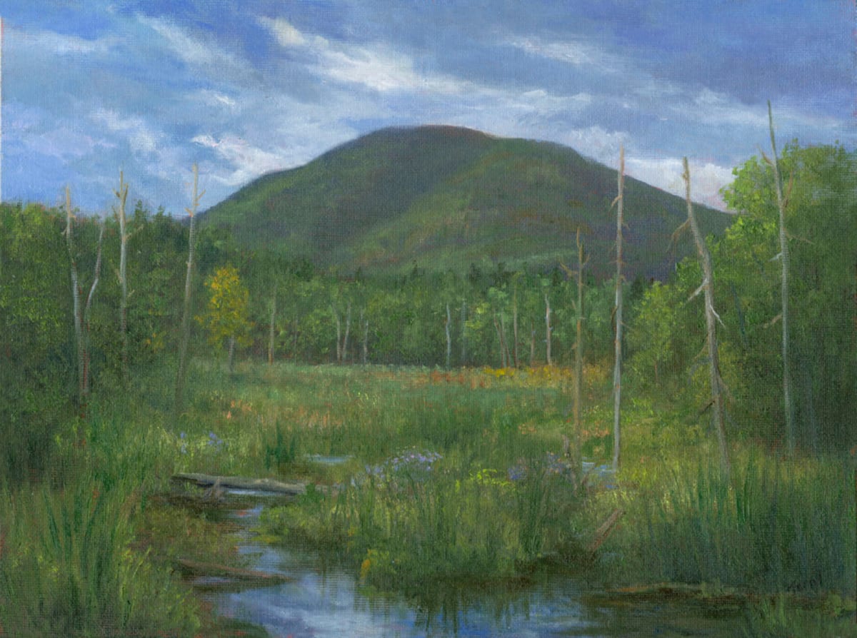 Mountain Marsh under stormy skies by Tarryl Gabel 