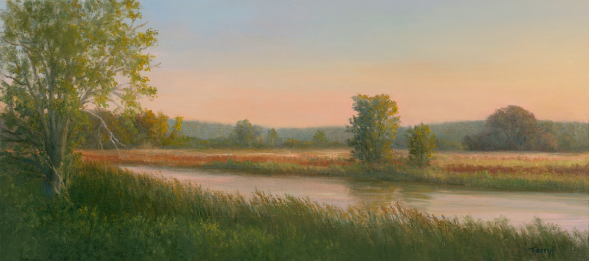 Montezuma's Marsh by Tarryl Gabel 