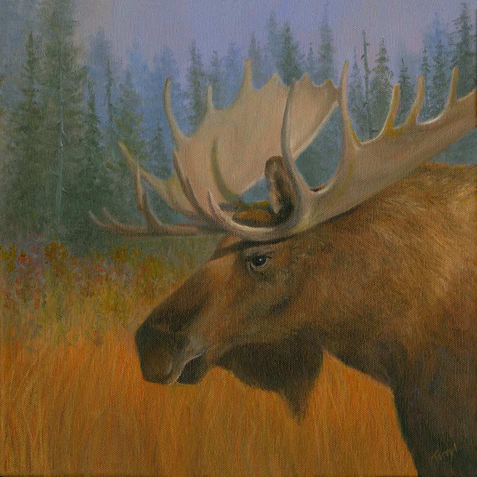 Bull Moose by Tarryl Gabel 