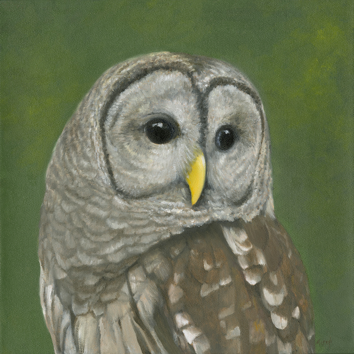 Watchful Eyes-Barred Owl by Tarryl Gabel 