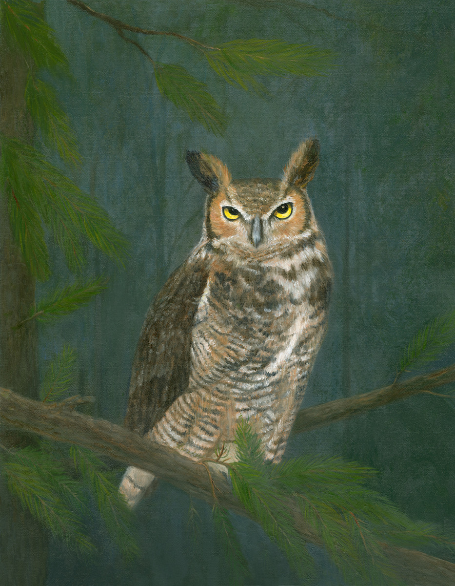 Great Horned Owl by Tarryl Gabel 