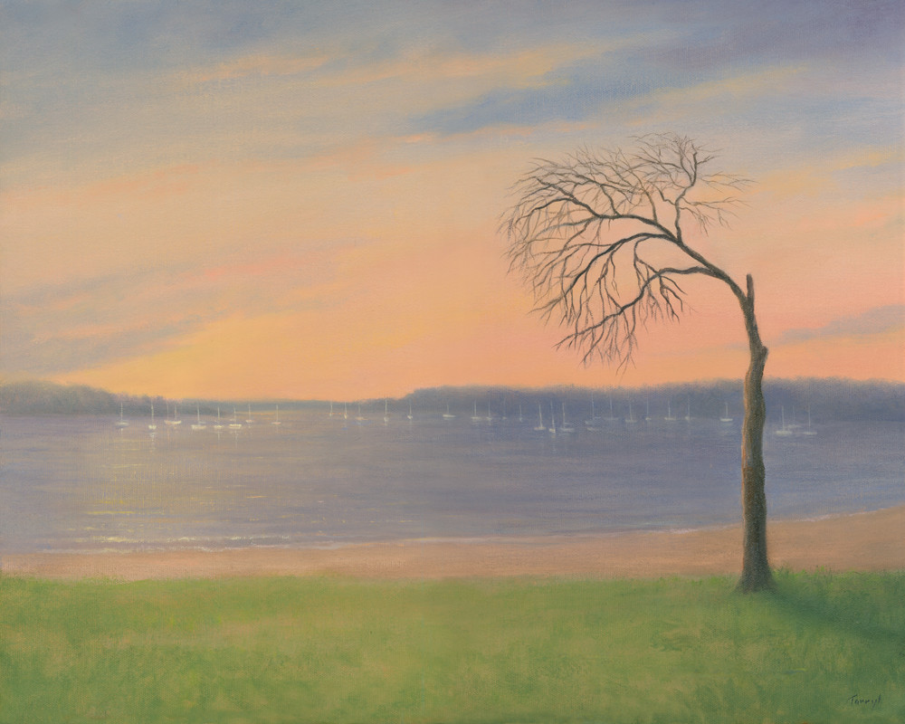 the Sad Tree, Oyster Bay by Tarryl Gabel 