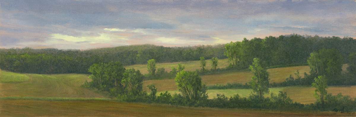 Patchwork fields by Tarryl Gabel, Image 1.
