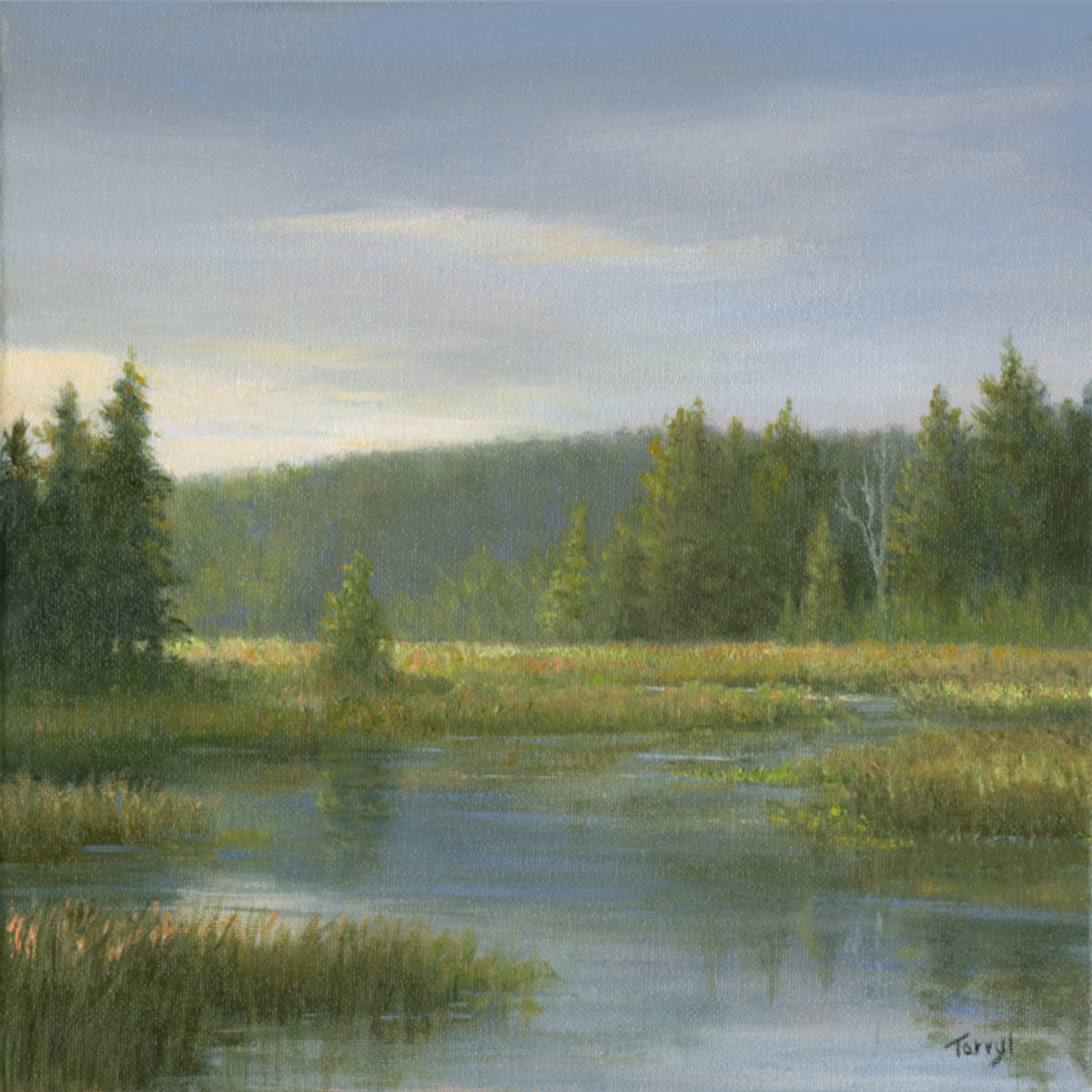 VIC reflections, Adirondacks by Tarryl Gabel 