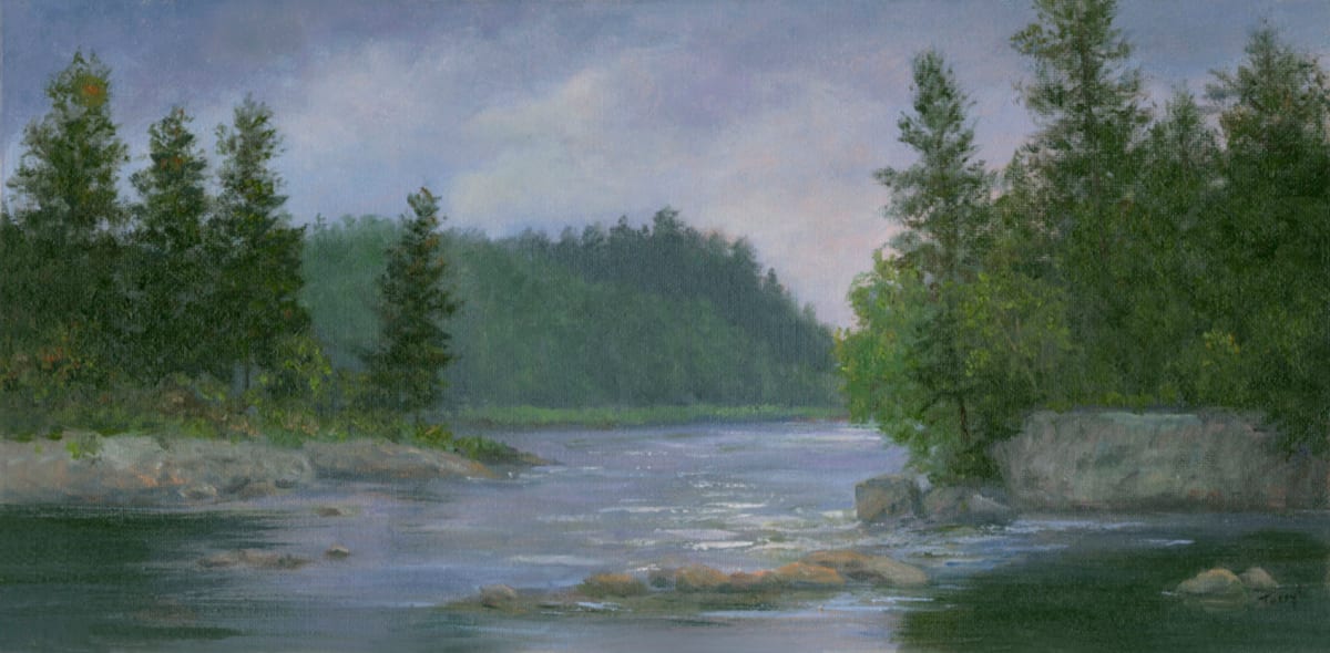 Rainy day along Moose River by Tarryl Gabel 