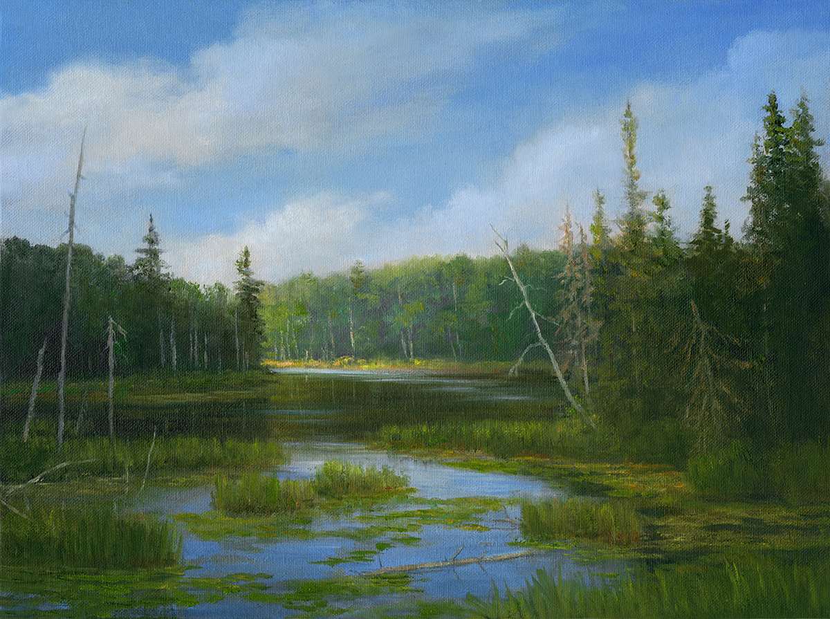 Adirondack Marshlands by Tarryl Gabel, Image 1.
