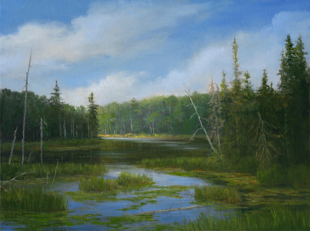 Adirondack Marshlands by Tarryl Gabel 