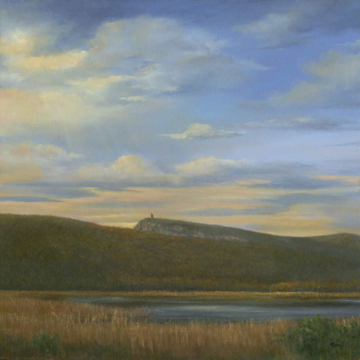Mohonk Tower from the Marsh by Tarryl Gabel 