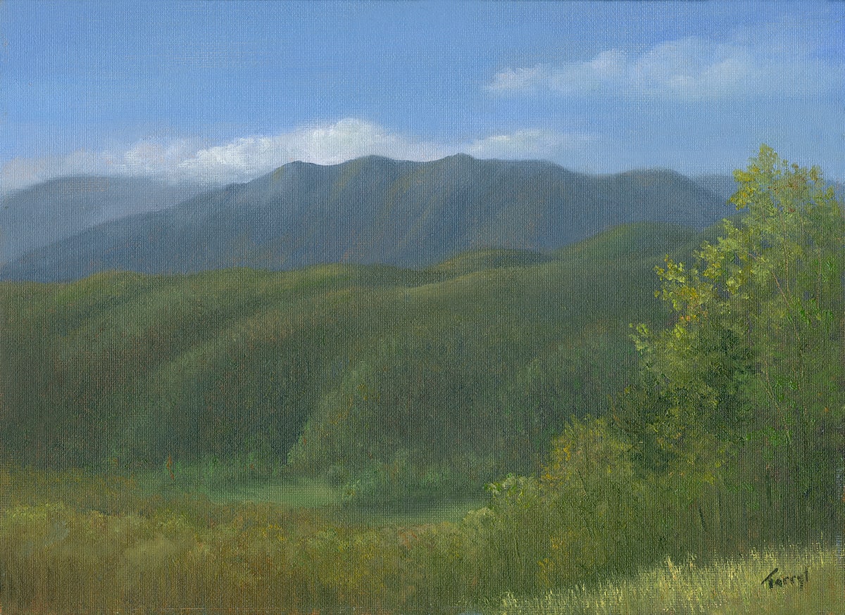 Overlooking the Smokey Mnts 