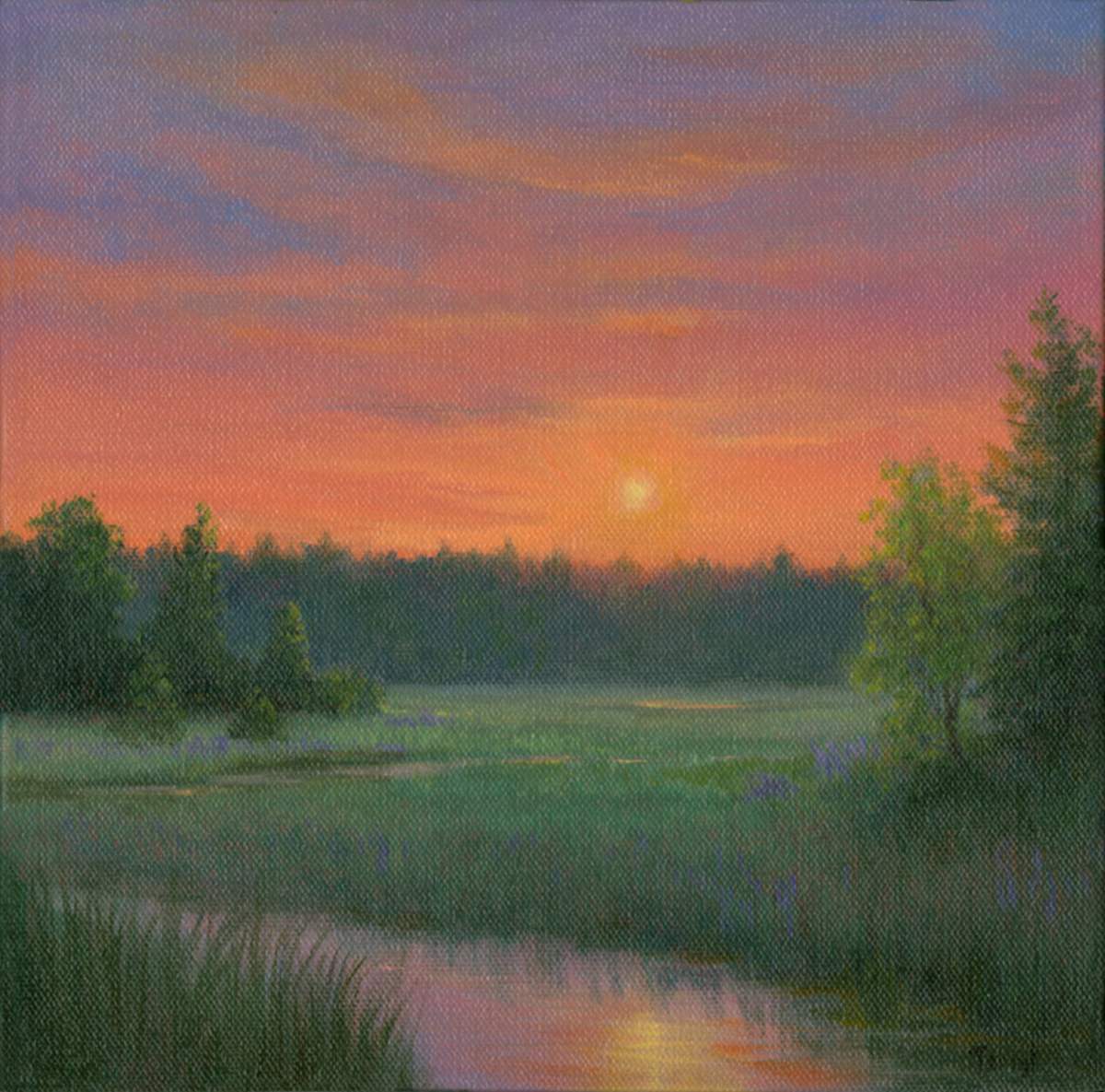 Sundown over the Marsh  by Tarryl Gabel, Image 1.