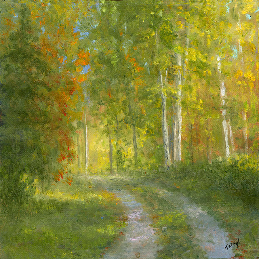 Sunlit Birches by Tarryl Gabel 