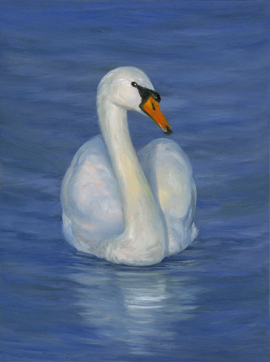 Swan by Tarryl Gabel 