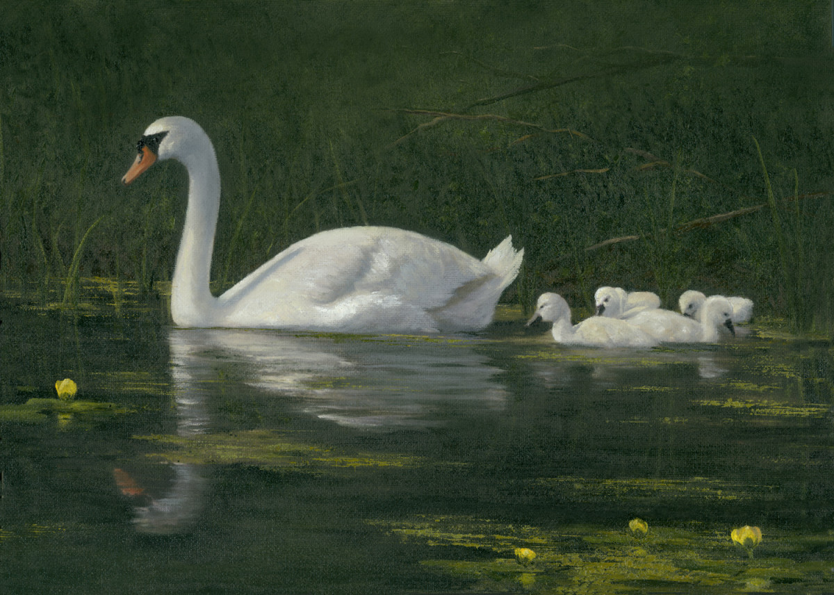 Swan and babies by Tarryl Gabel 