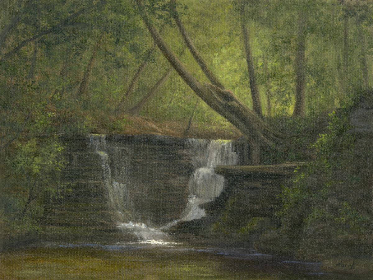 Tannery Creek Falls by Tarryl Gabel 