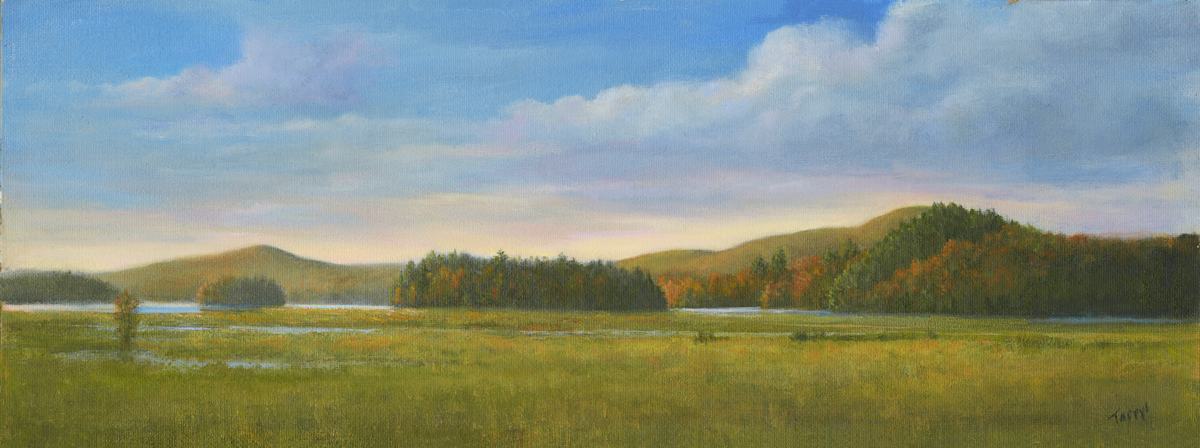 Tupper Lake by Tarryl Gabel 