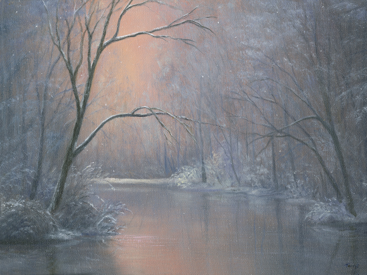 Winter Sunset by Tarryl Gabel 