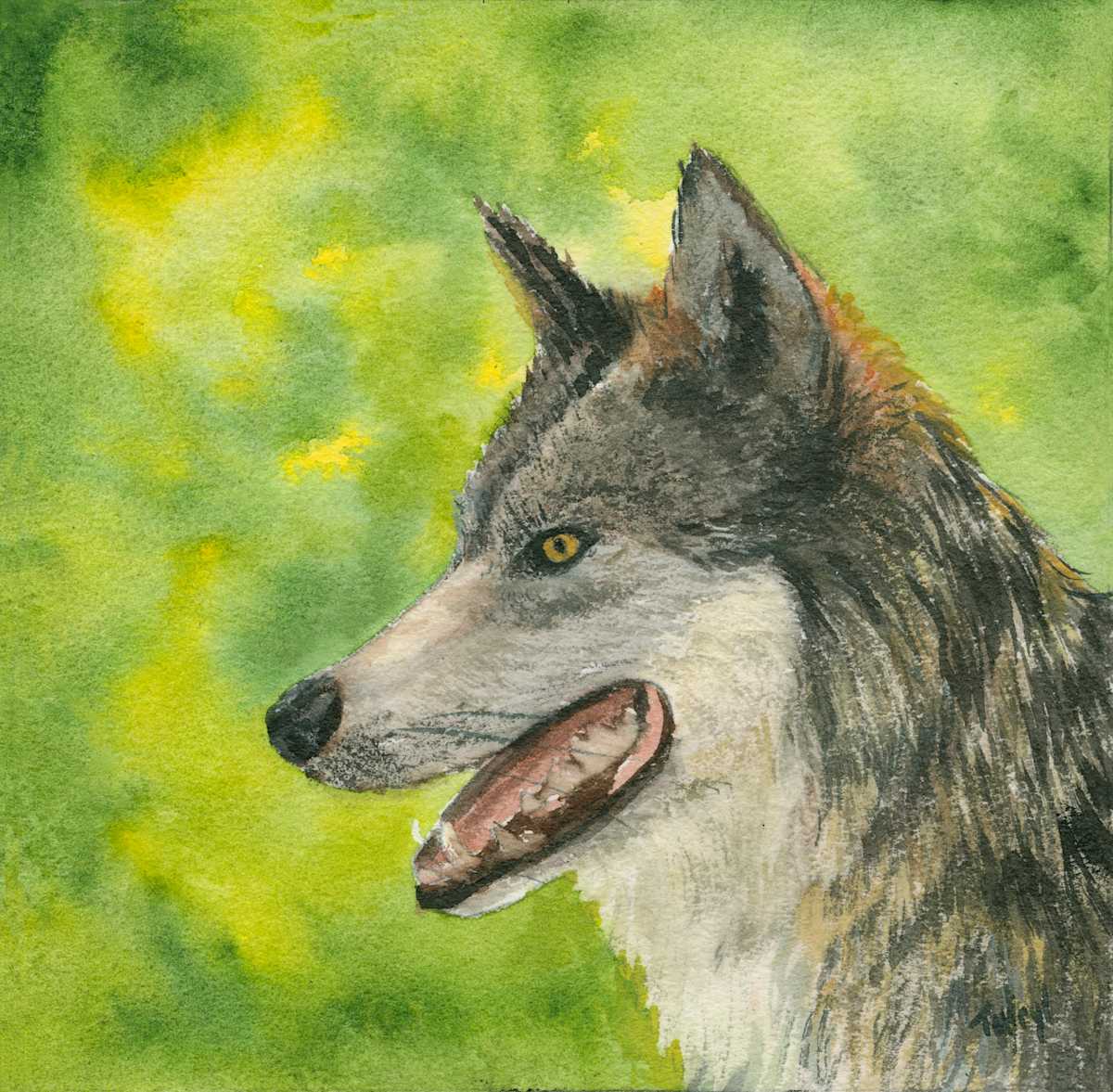 Wolf by Tarryl Gabel, Image 1.