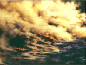 Birth of an Island by Merrilyn Duzy 