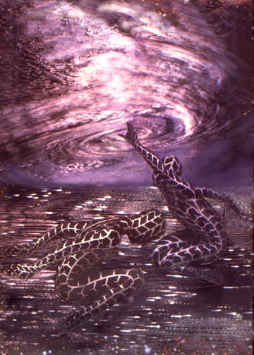 Creation Dance by Merrilyn Duzy, Image 1.