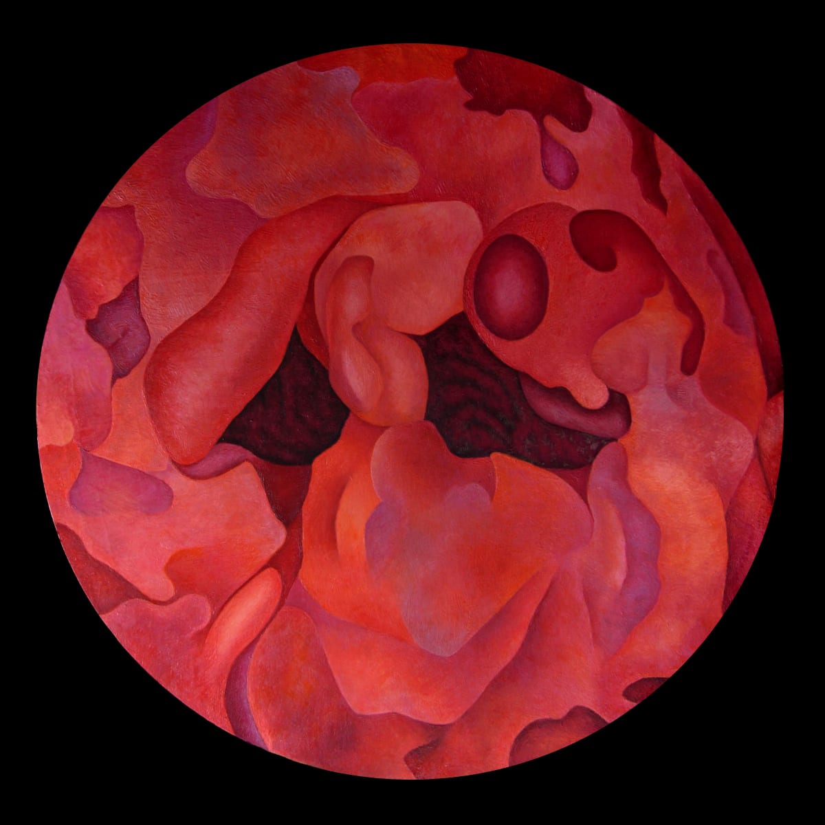 Interior Landscape by Merrilyn Duzy, Image 1.