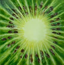Kiwi by Merrilyn Duzy, Image 1.