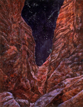 Night Canyon by Merrilyn Duzy 