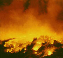 Night Fire by Merrilyn Duzy, Image 1.