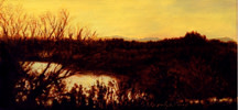 Orange River by Merrilyn Duzy 