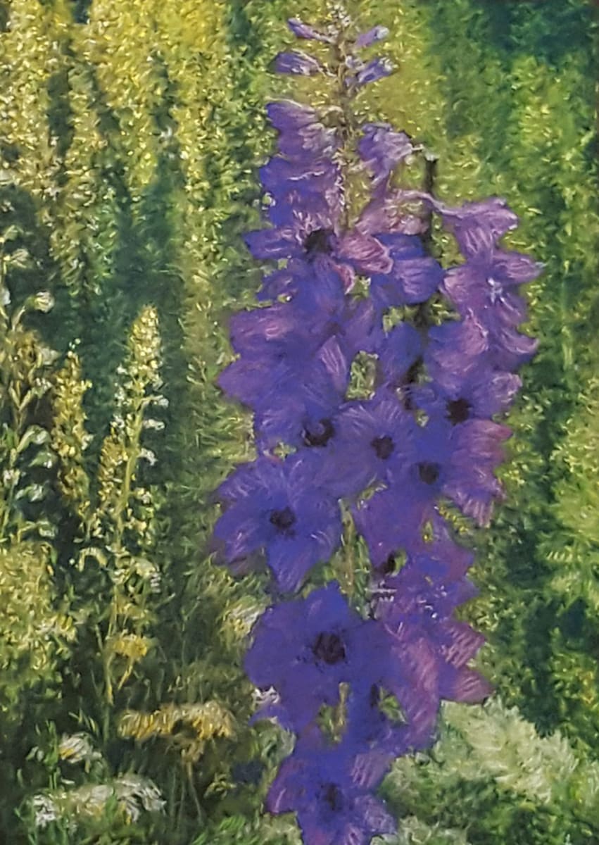 Purple Delphinium 