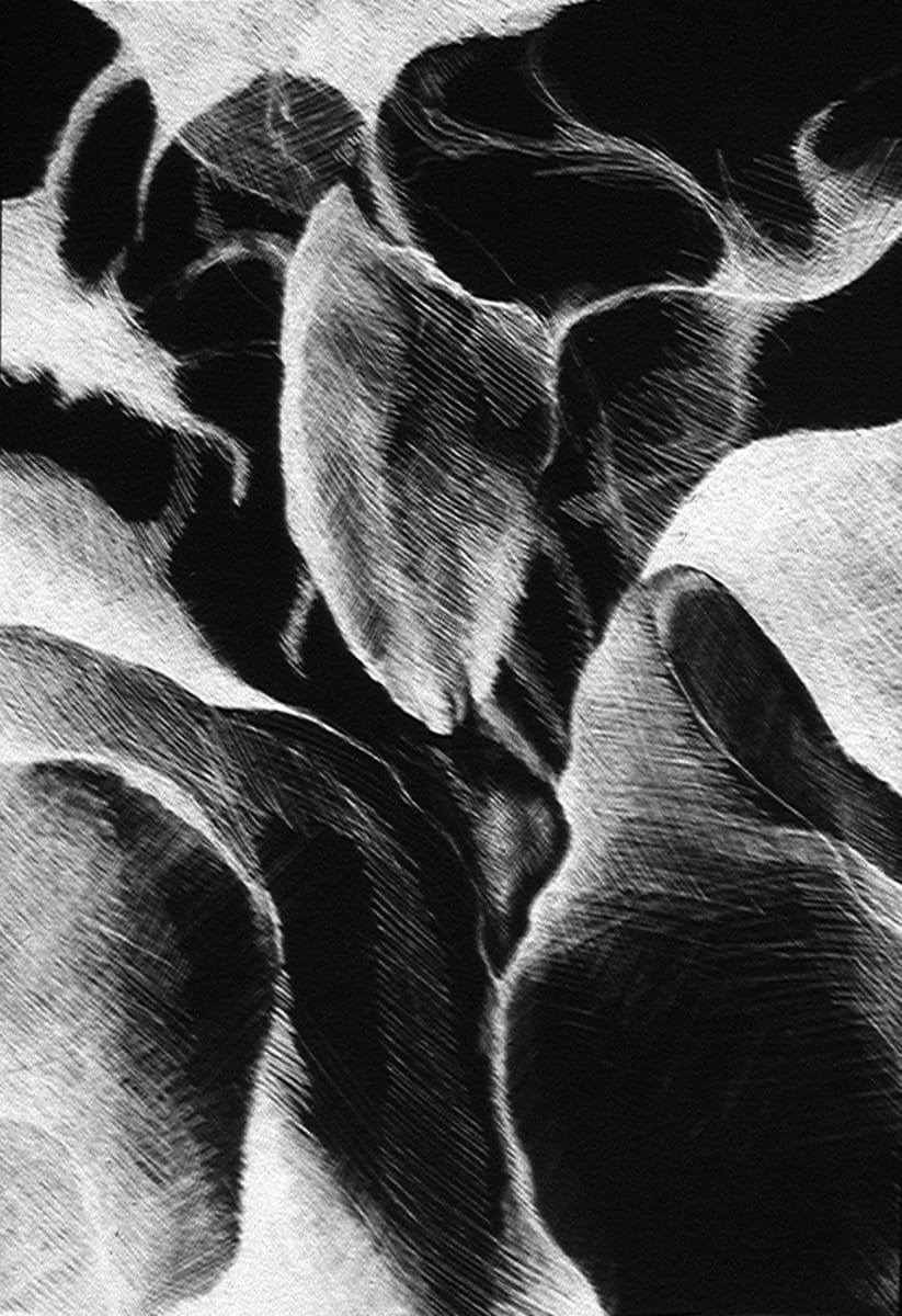 Twist by Merrilyn Duzy, Image 1.