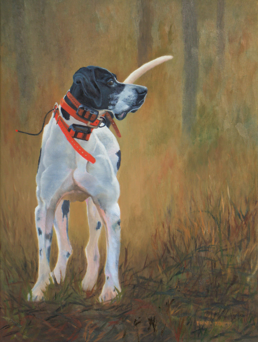 ACE by Brenda Francis  Image: Bird Hunting Dog named Ace