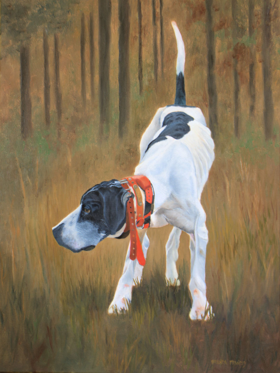 ACE Too by Brenda Francis  Image: Another painting of Ace, a Bird Hunting Dog