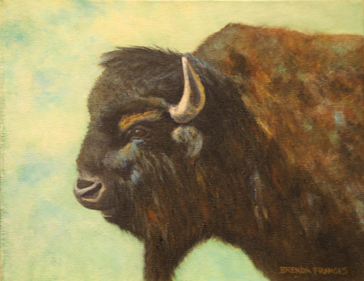 BUFFALO HEAD by Brenda Francis, Image 1.