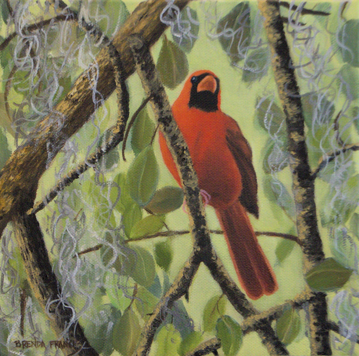 CARDINAL SURROUNDED IN GREEN by Brenda Francis, Image 1.
