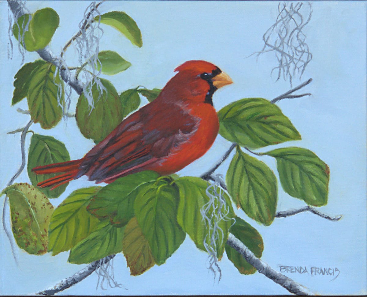 CARDINAL IN THE DOGWOOD II by Brenda Francis  Image: Gift for a friend