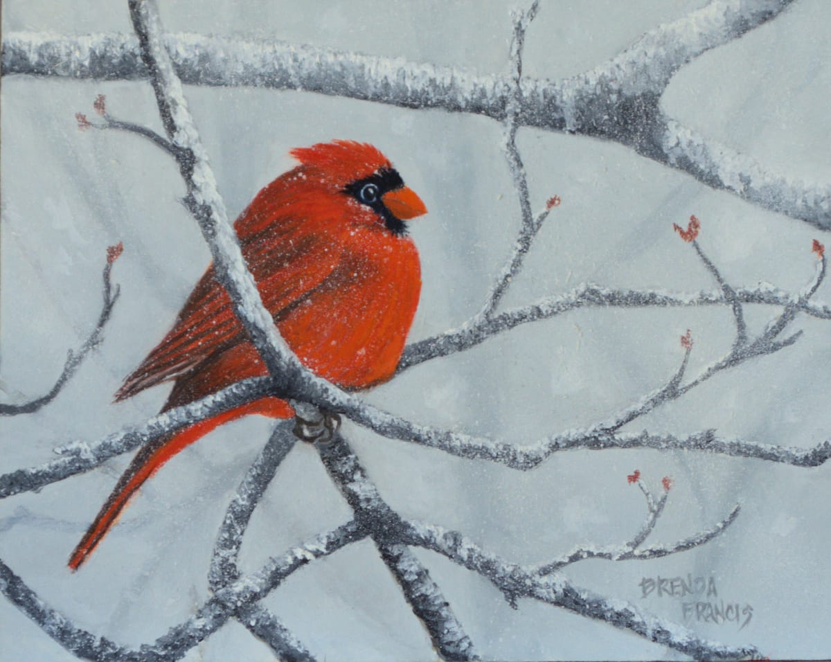CARDINAL IN THE SNOW 