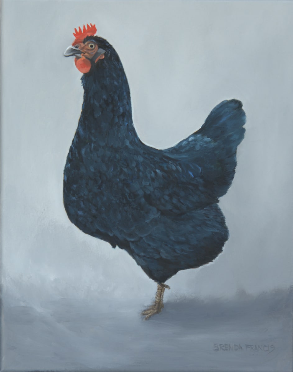 CHICKENITA by Brenda Francis  Image: Chickenita the Chicken and friend to Rooster Cogburn
