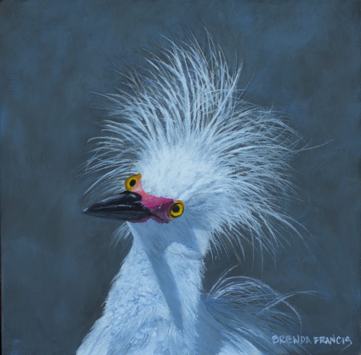 CRAZY BIRD by Brenda Francis  Image: Crazy Bird...or not!  Just a snowy egret in breeding plumage!   