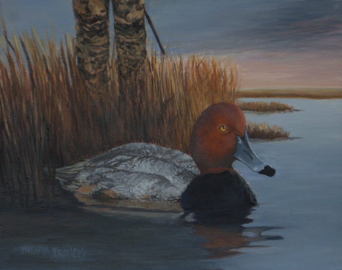 LEFT HANDED HUNTER by Brenda Francis  Image: Redhead Duck on Gesso Board