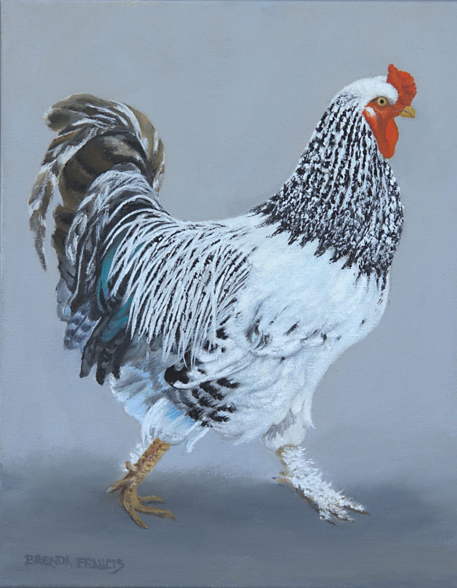 ASHLEY'S ROOSTER by Brenda Francis  Image: Ashley's Rooster