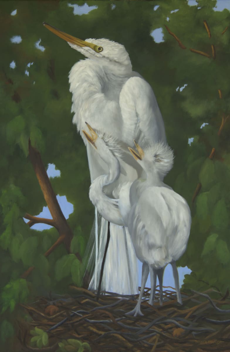 PATIENCE AND IMPATIENCE by Brenda Francis 