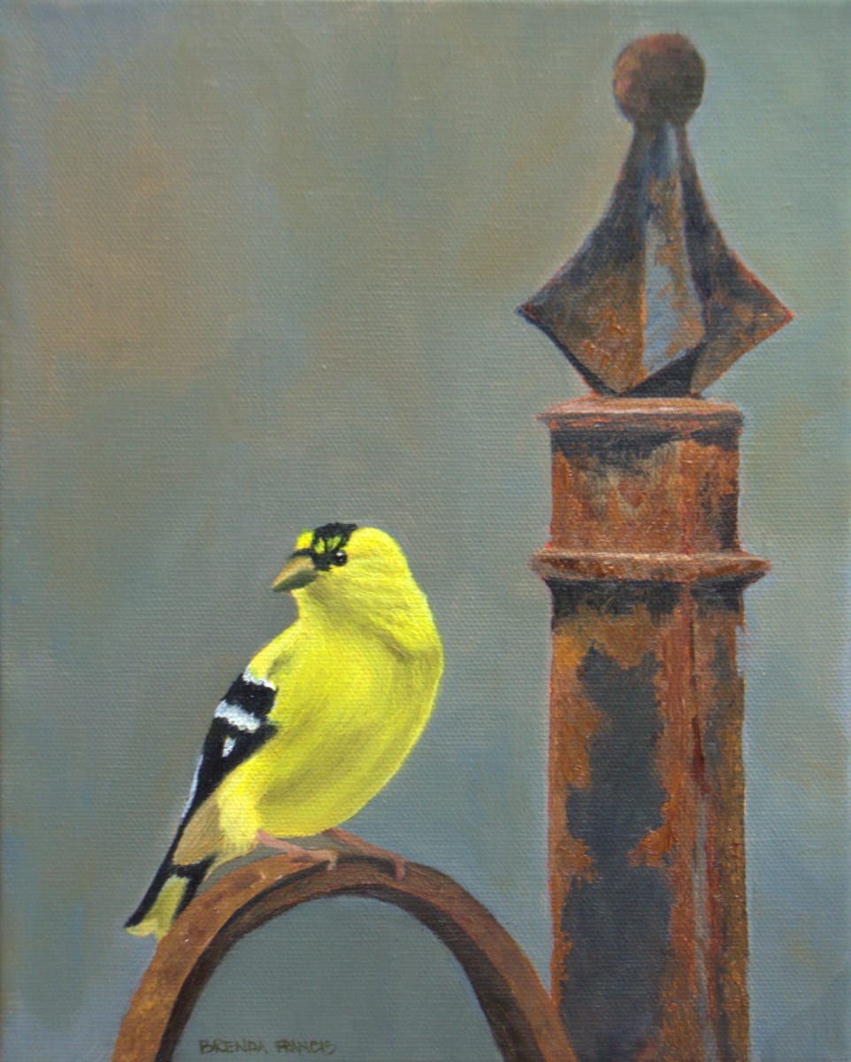 GOLDIE by Brenda Francis  Image: Goldfinch on the Wrought Iron