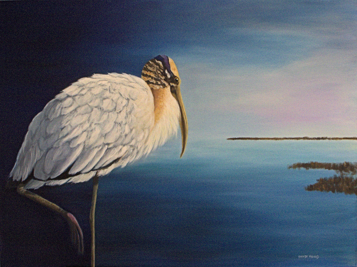 GUARDIAN OF THE MORNING by Brenda Francis  Image: Woodstork...so ugly yet so beautiful
