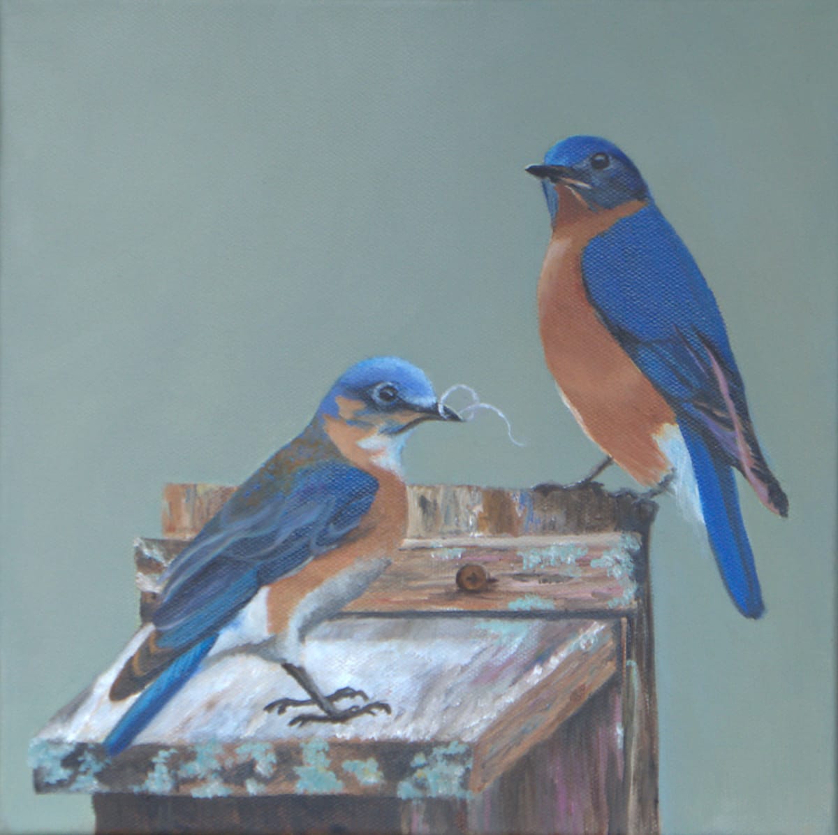 HOME SWEET HOME by Brenda Francis  Image: Bluebirds are so beautiful!