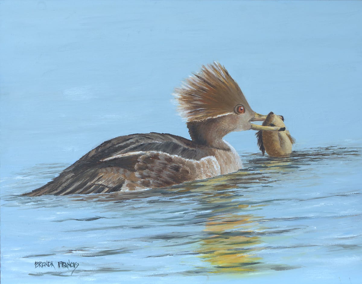 LADY MERGANSER by Brenda Francis  Image: Merganser duck on Waverly Pond in 2021