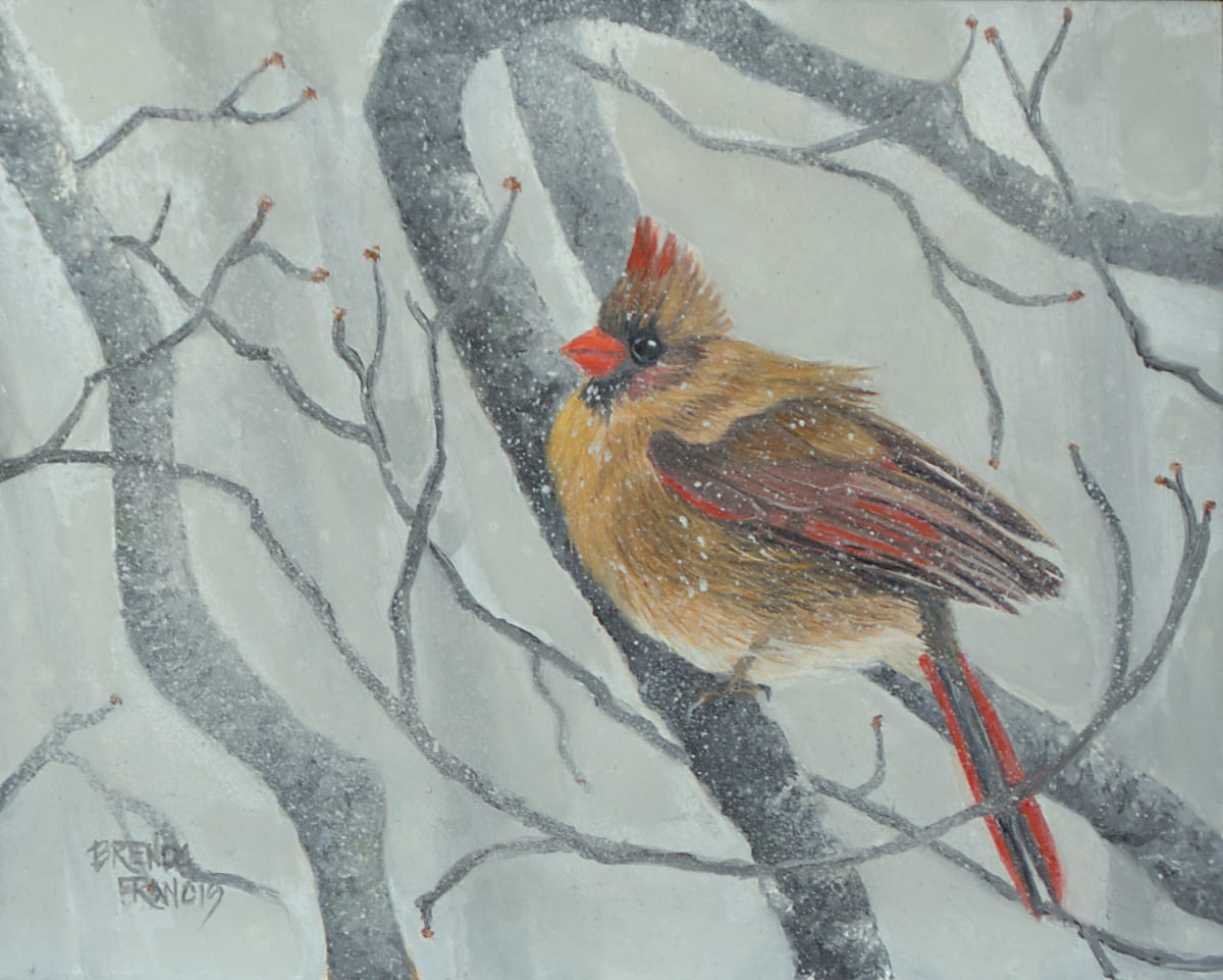 MISS CARDINAL IN THE SNOW 