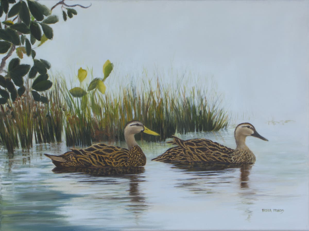 UP A LAZY RIVER by Brenda Francis  Image: Mottled Ducks peacefully floating along